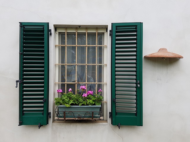 zelené okenice.jpg